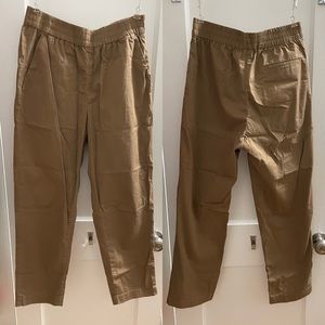 Everlane the organic easy chino in ochre
